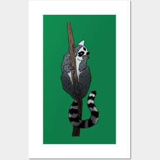 Pop art ring tailed lemur Posters and Art